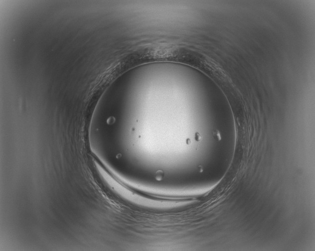 X0000057060497200509120852