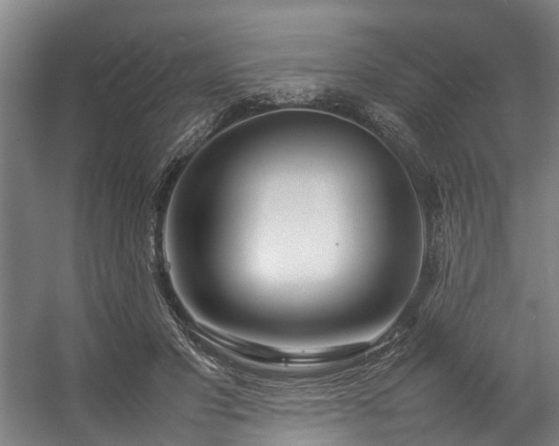 X0000057060501200509120852