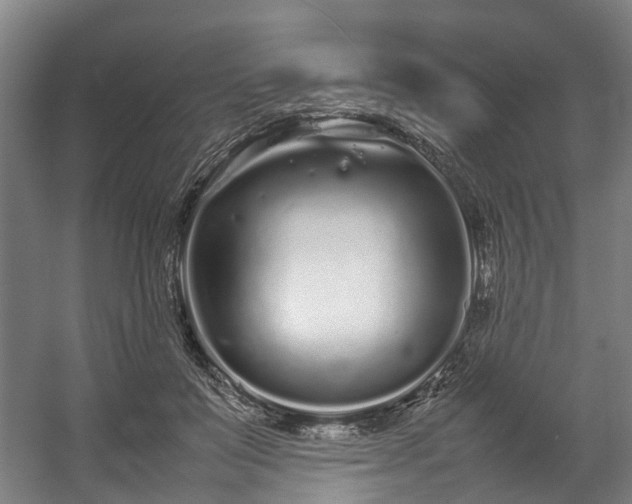 X0000057060503200509120852