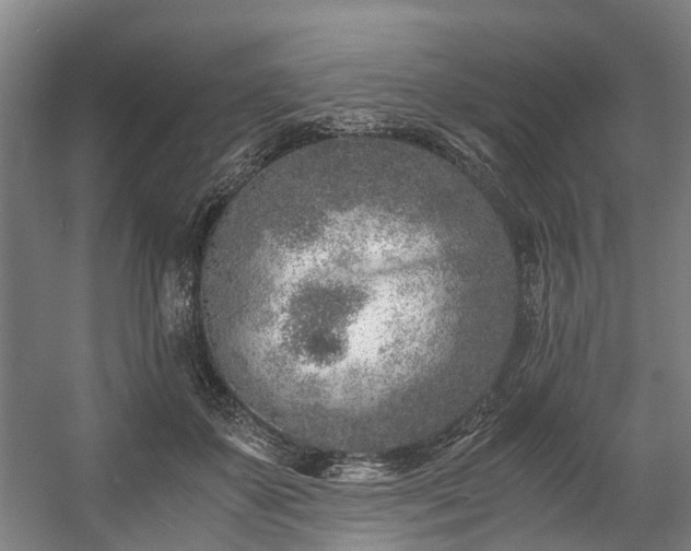 X0000057060507200509120852