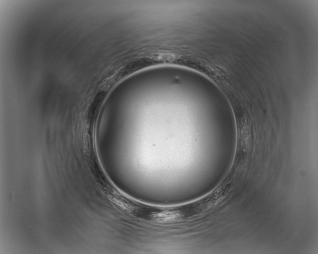 X0000057060511200509120852