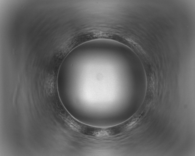 X0000057060513200509120851