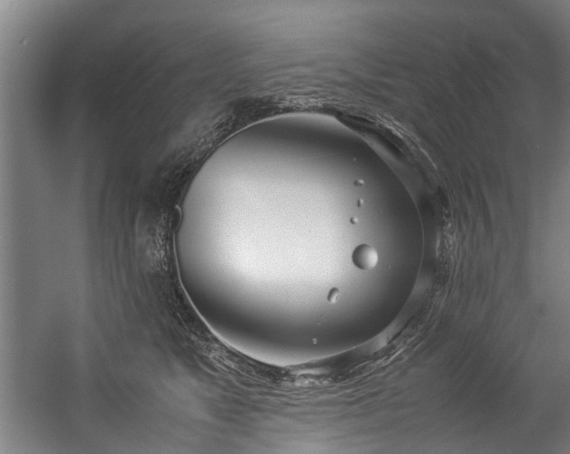 X0000057060517200509120851