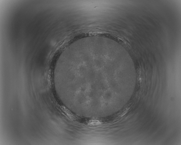 X0000057060519200509120851