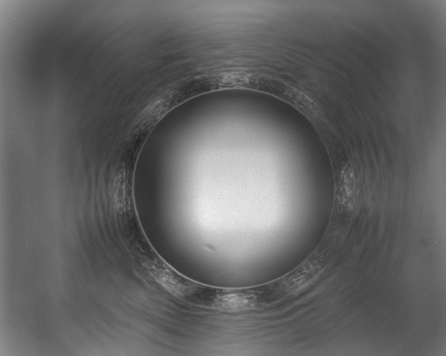 X0000057060522200509120851