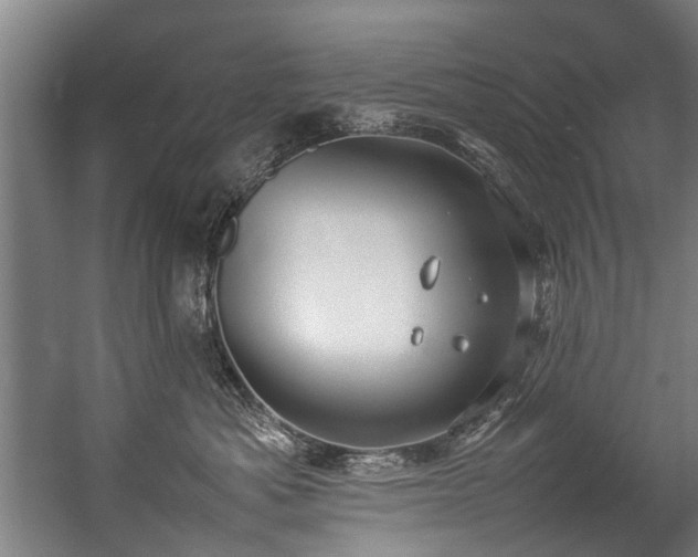 X0000057060525200509120851