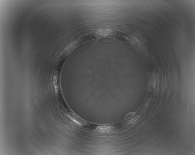 X0000057060526200509120851