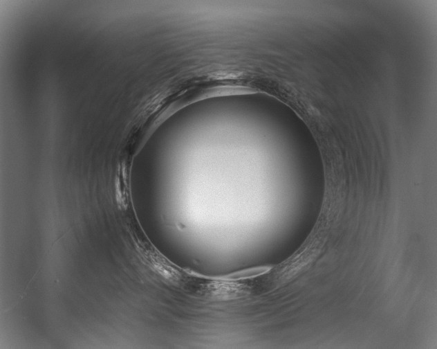 X0000057060528200509120851