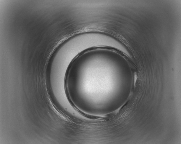 X0000057060530200509120850