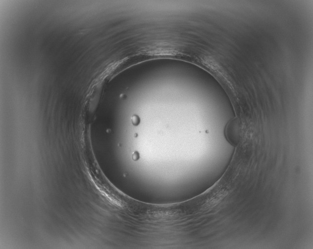 X0000057060533200509120850