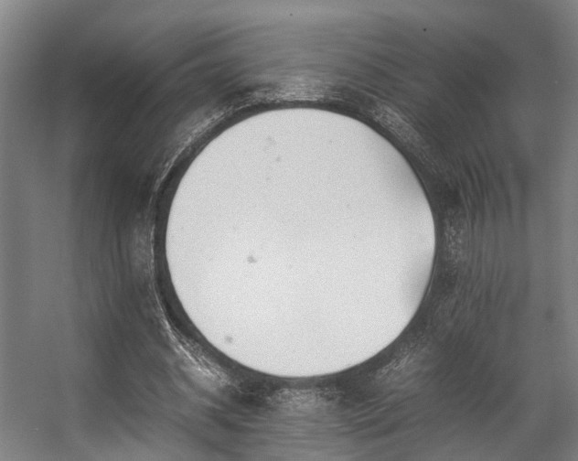 X0000057060534200509120850