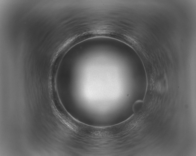 X0000057060535200509120851