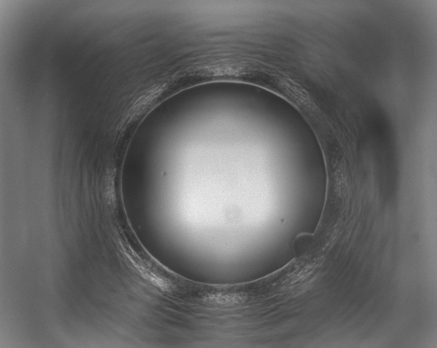 X0000057060537200509120851