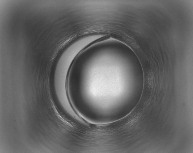 X0000057060538200509120851