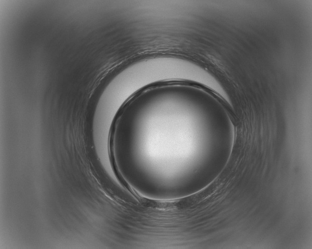 X0000057060548200509120851