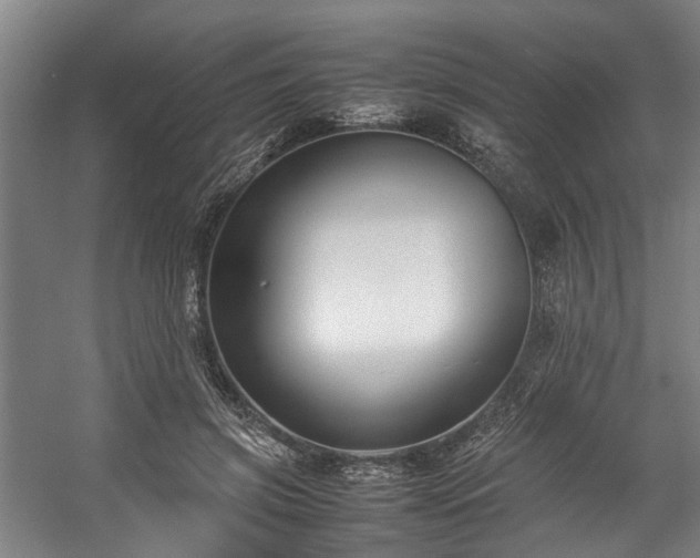 X0000057060549200509120851