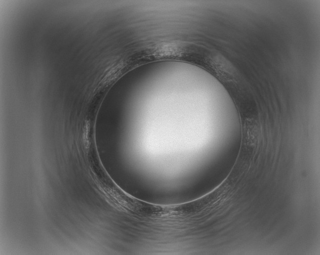 X0000057060550200509120851