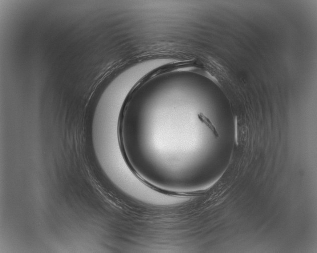 X0000057060552200509120851