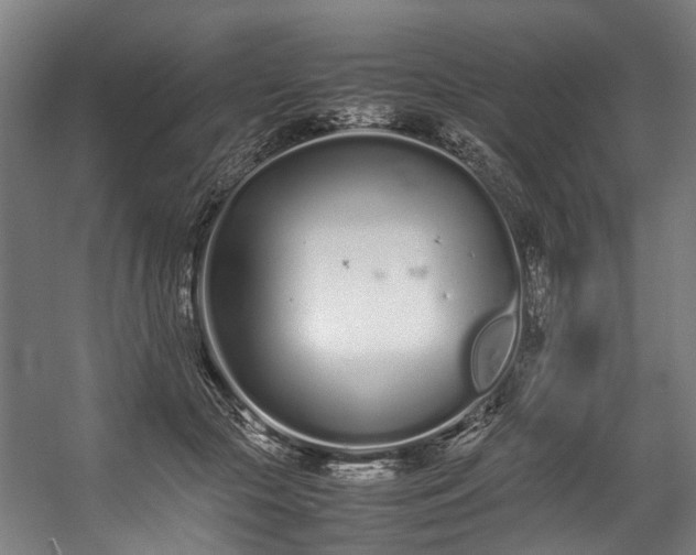 X0000057060553200509120851