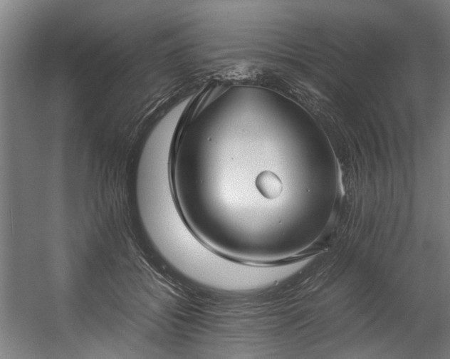 X0000057060556200509120851