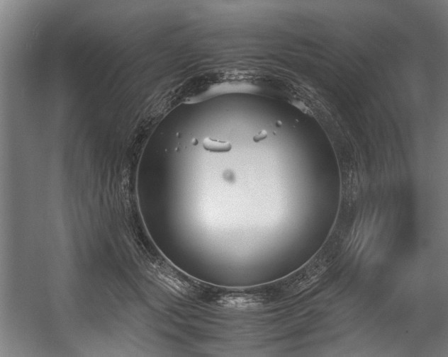 X0000057060557200509120851