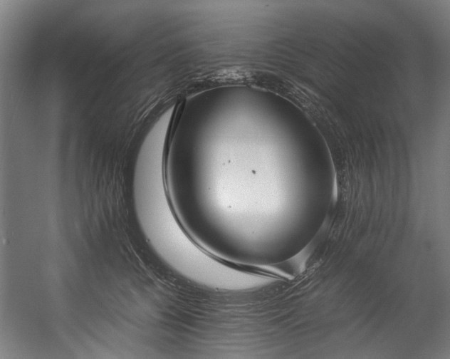 X0000057060560200509120851