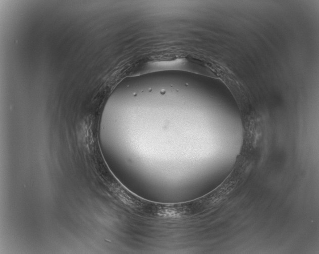 X0000057060565200509120851