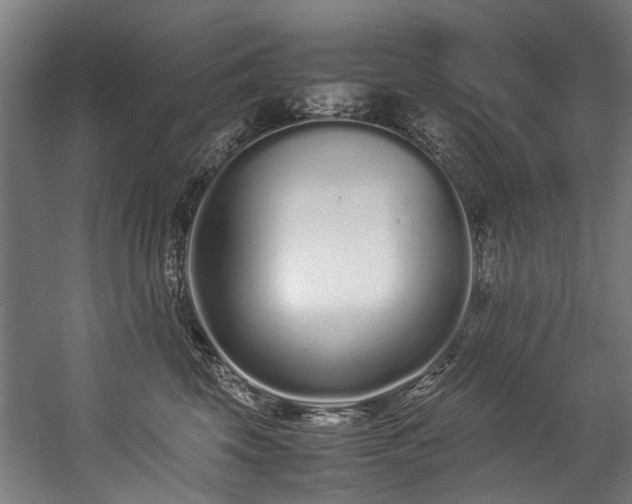 X0000057060569200509120851