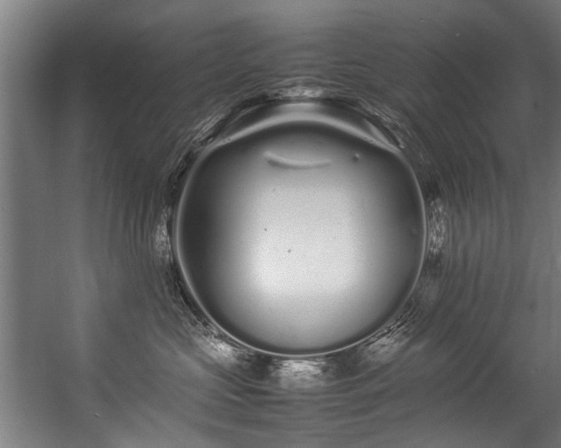 X0000057060573200509120851