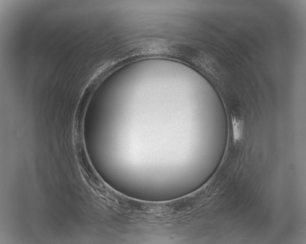 X0000057060579200509120850