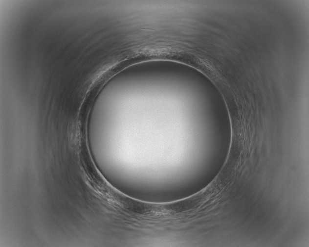 X0000057060583200509120850