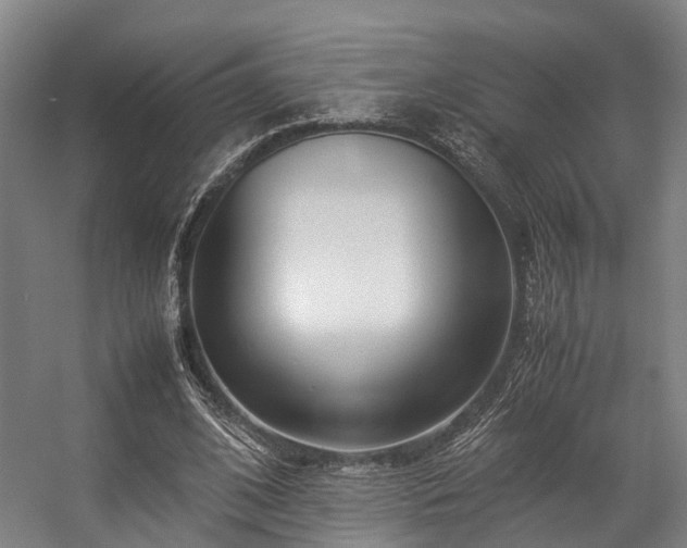 X0000057060584200509120850