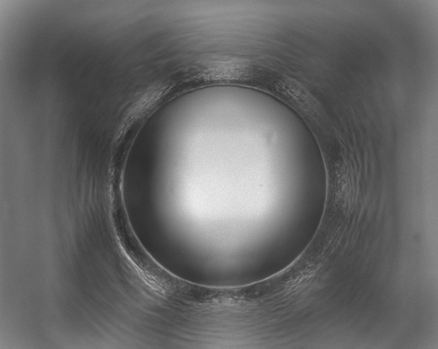 X0000057060586200509120850