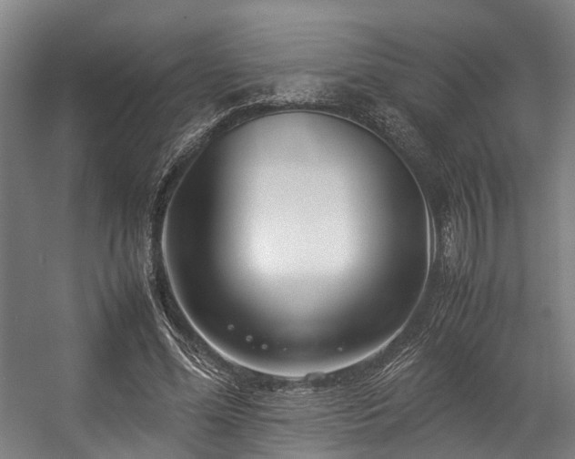 X0000057060588200509120850