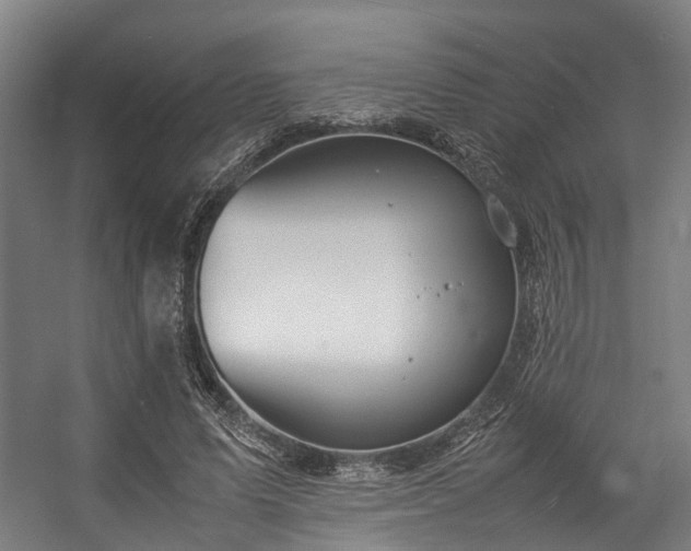 X0000057060591200509120850