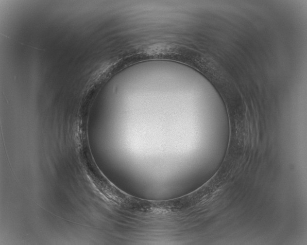 X0000057060592200509120850