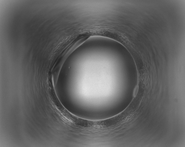 X0000057060593200509120850