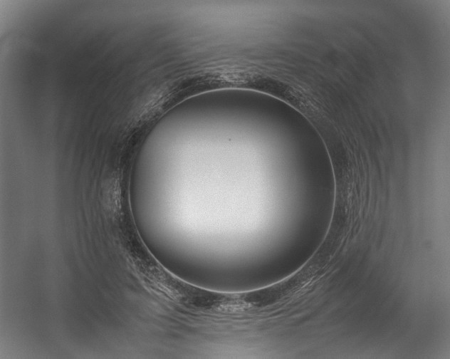 X0000057060595200509120850