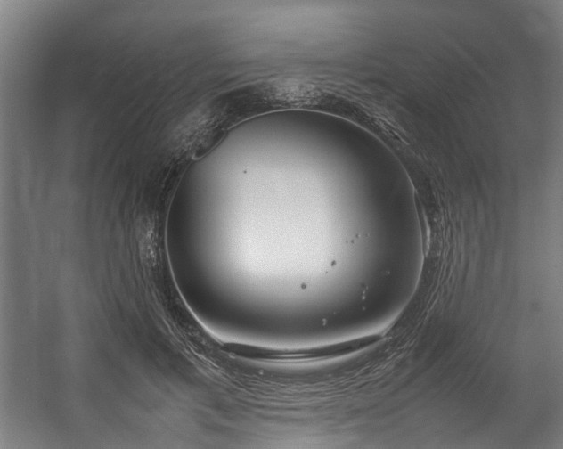 X0000057060597200509120850