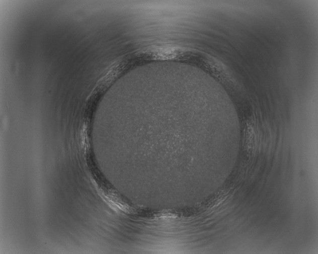 X0000057060598200509120850