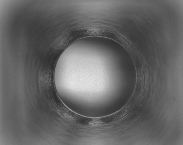 X0000057060603200509120850