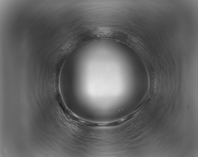 X0000057060604200509120850