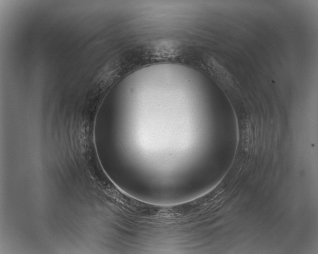 X0000057060608200509120850