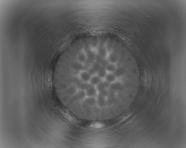 X0000057060610200509120850