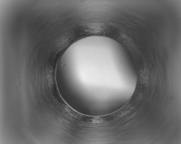 X0000057060612200509120850