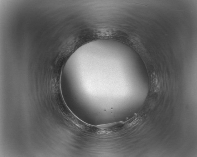 X0000057060614200509120850