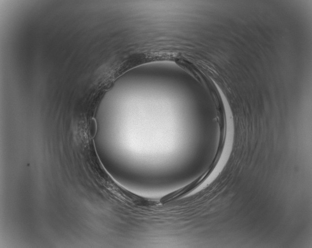 X0000057060617200509120850