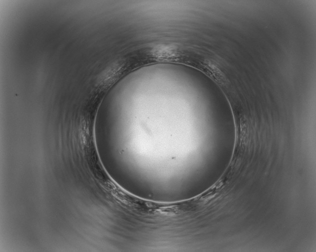 X0000057060618200509120850