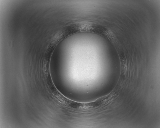 X0000057060619200509120850