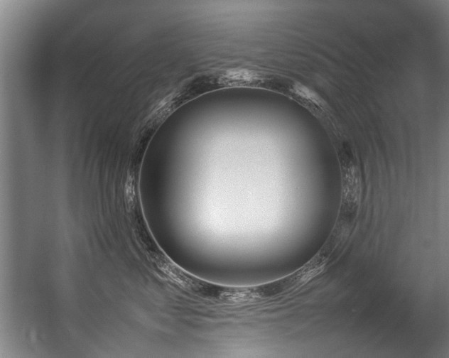 X0000057060621200509120850